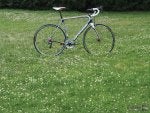 Cannondale-Synapse-full2.jpg