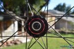 rearwheel.jpg