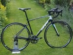 Giant-Defy-Alluxx.jpg