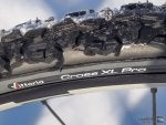 vittoria3.jpg