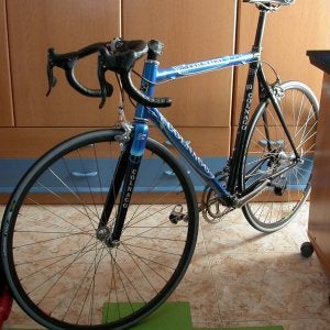 my colnago C50